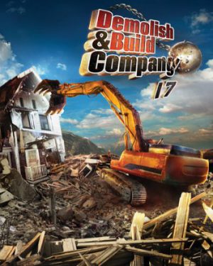 Demolish  Build Company 2017