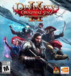 Divinity: Original Sin 2 - Definitive Edition