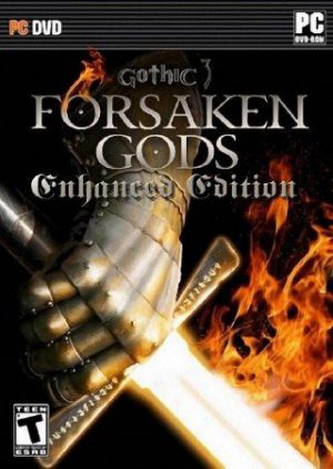 Gothic 3: Forsaken Gods Enhanced Edition