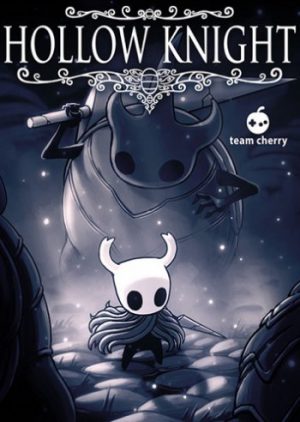 Hollow Knight