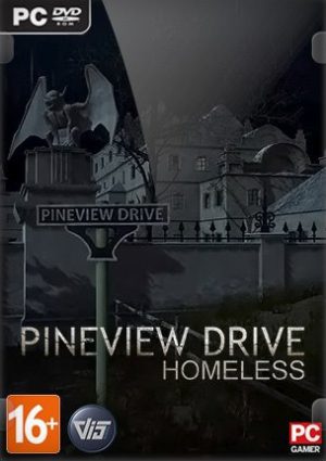 Pineview Drive - Homeless