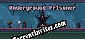 Underground Prisoner (2024/ENG/MULTI10/License)