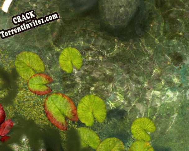 Koi Fish 3D Screensaver activation key